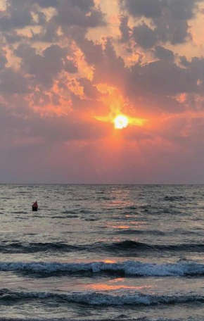 Theo Summerland Seaview, Mamaia